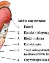 Náhľady